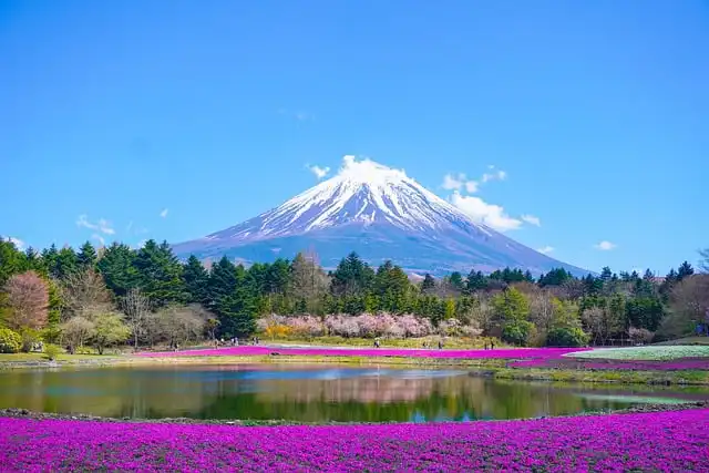 Asukayama Park