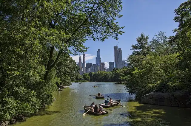 Pandemic Discoveries: Beavers, Nature, and Unexpected Urban Oases