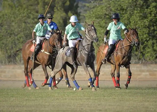 Gay Polo League Event: Celebrating Diversity & Inclusion