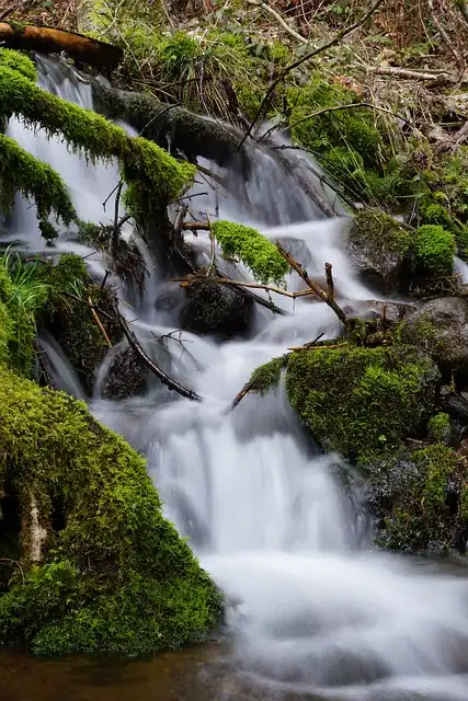 McClellan Falls: Discovering a Hidden Waterfall Gem