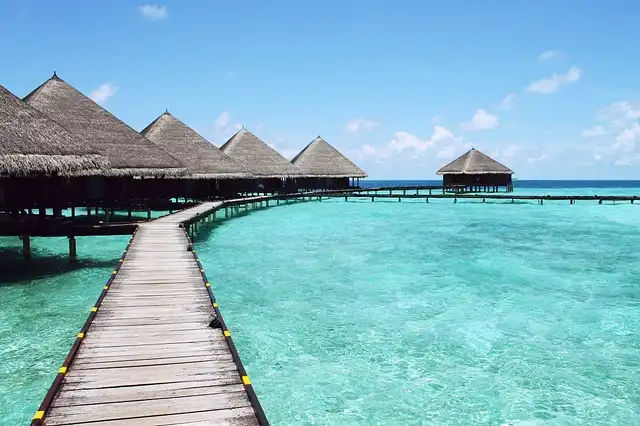 Exotic Car Rentals: The New Trend in Luxury Travel