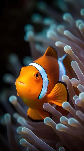 Underwater Sculpture Parks: Art, Diving & Conservation