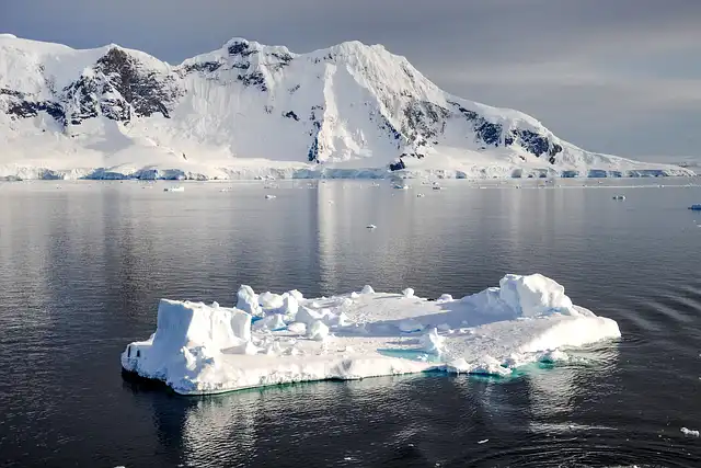 Ultimate Guide to Antarctic Expeditions: Wildlife, History, and Ice