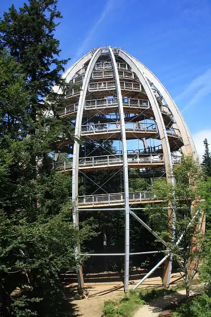 Exploring the Trail of Tears in Northwest Arkansas: History & Sites